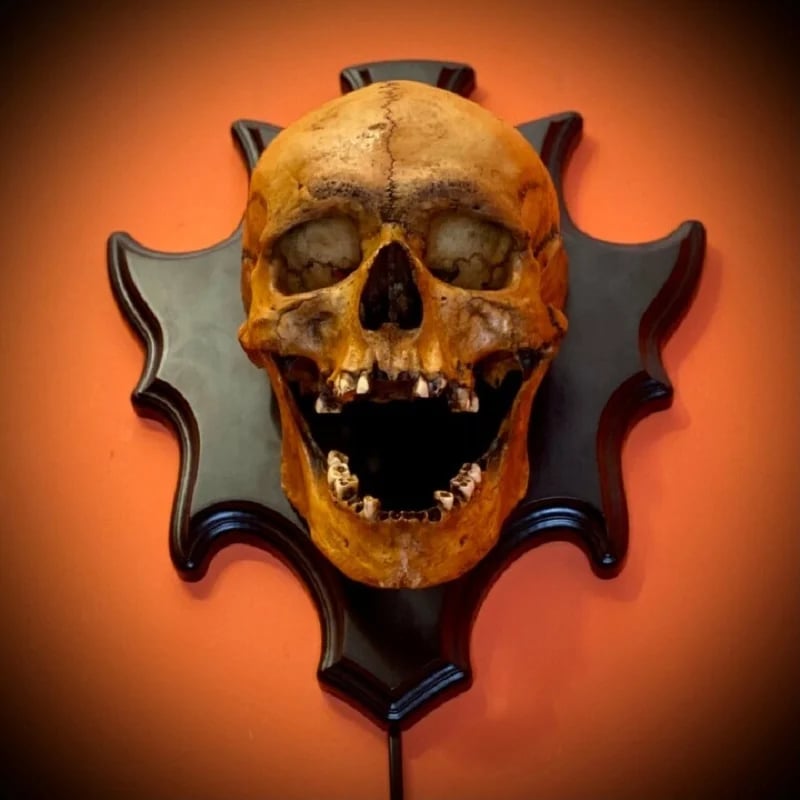 đSkull lampâSinging headânight light