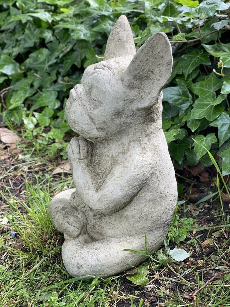 🔥Meditating Sitting French Bulldog