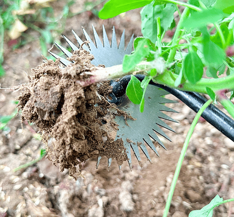 New Sunflower Weeding Artifact Weeding Tool