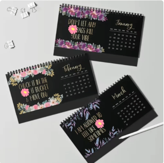 Funny Calendar 2024 Desk Calendar For Women