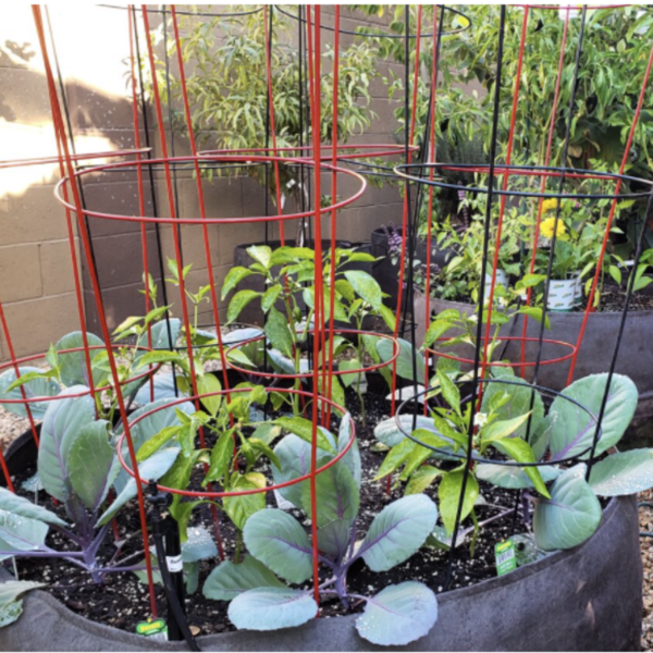 Raised Planting Bed