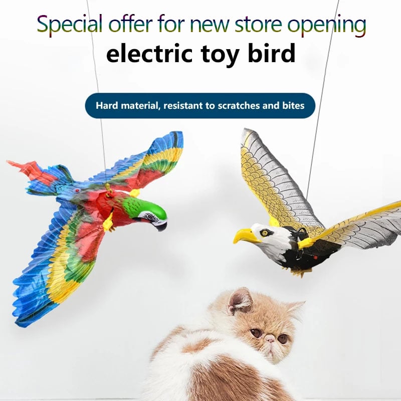Interactive Cat Toys for Indoor Cats - Buy 1 Get 1 Freeđ