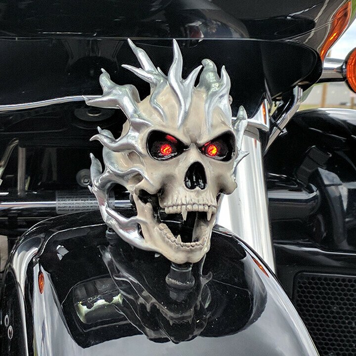 Skeleton motorcycle accessories.