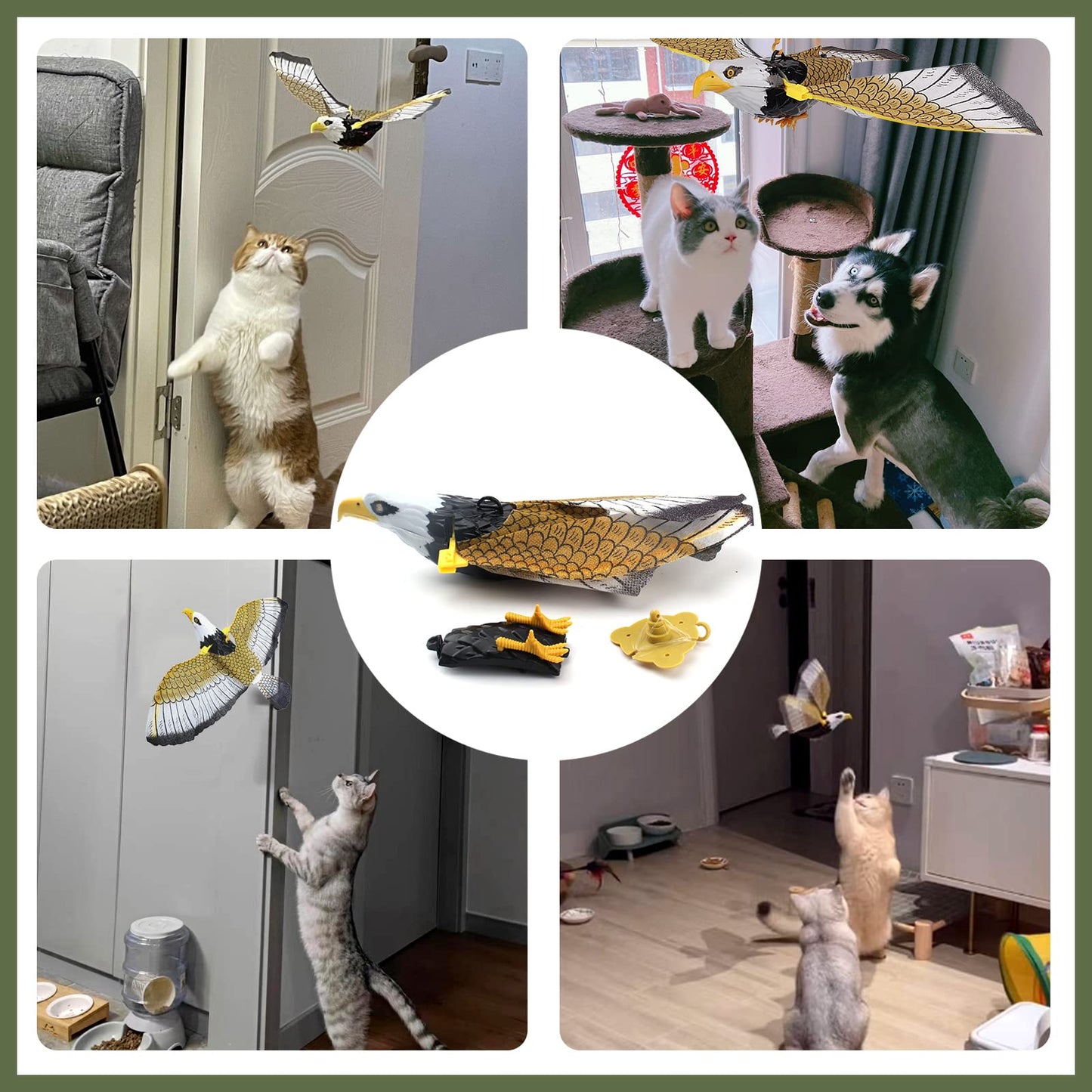 Interactive Cat Toys for Indoor Cats - Buy 1 Get 1 Freeđ