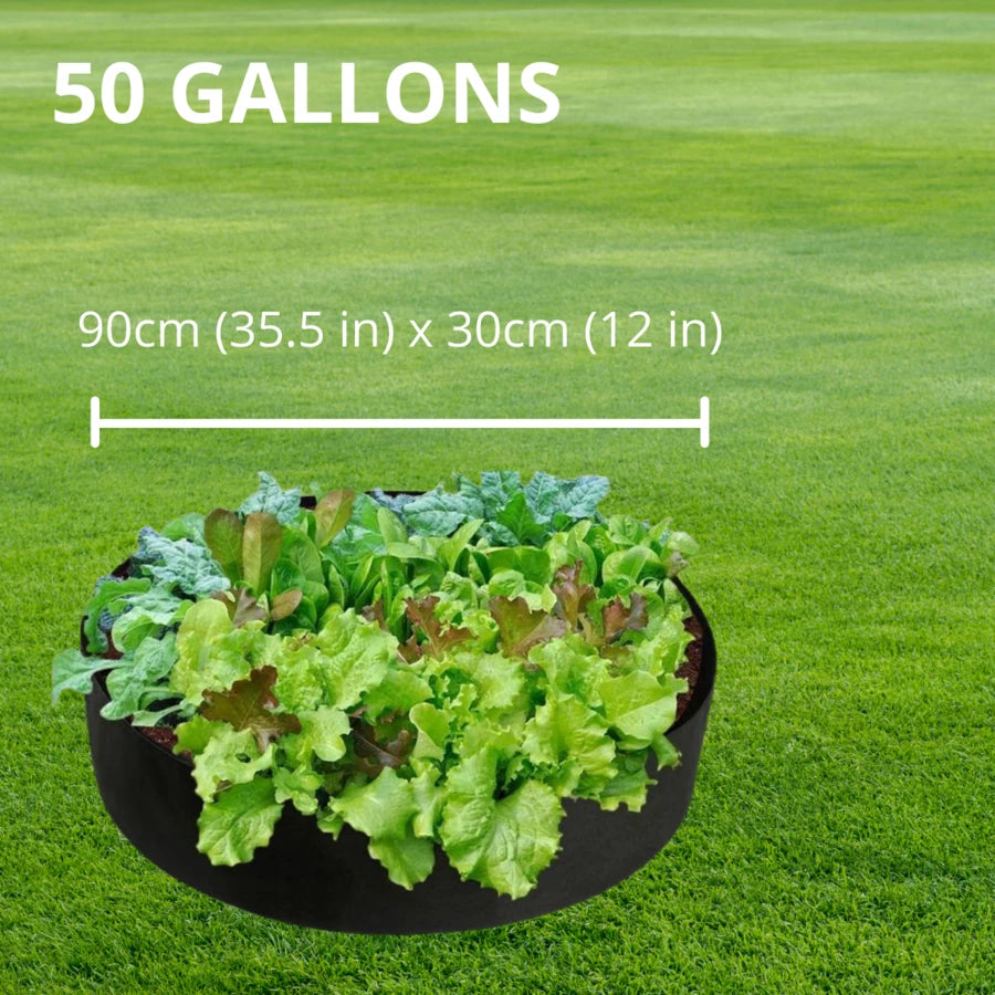 Raised Planting Bed