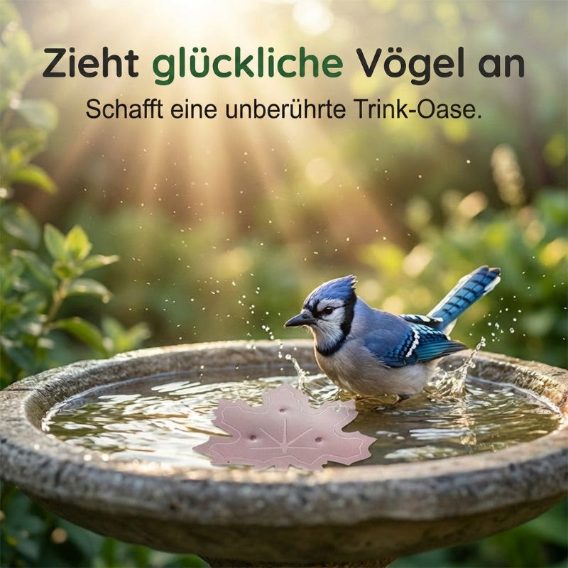 ✨🍁Universal Bird Bath Cleaner