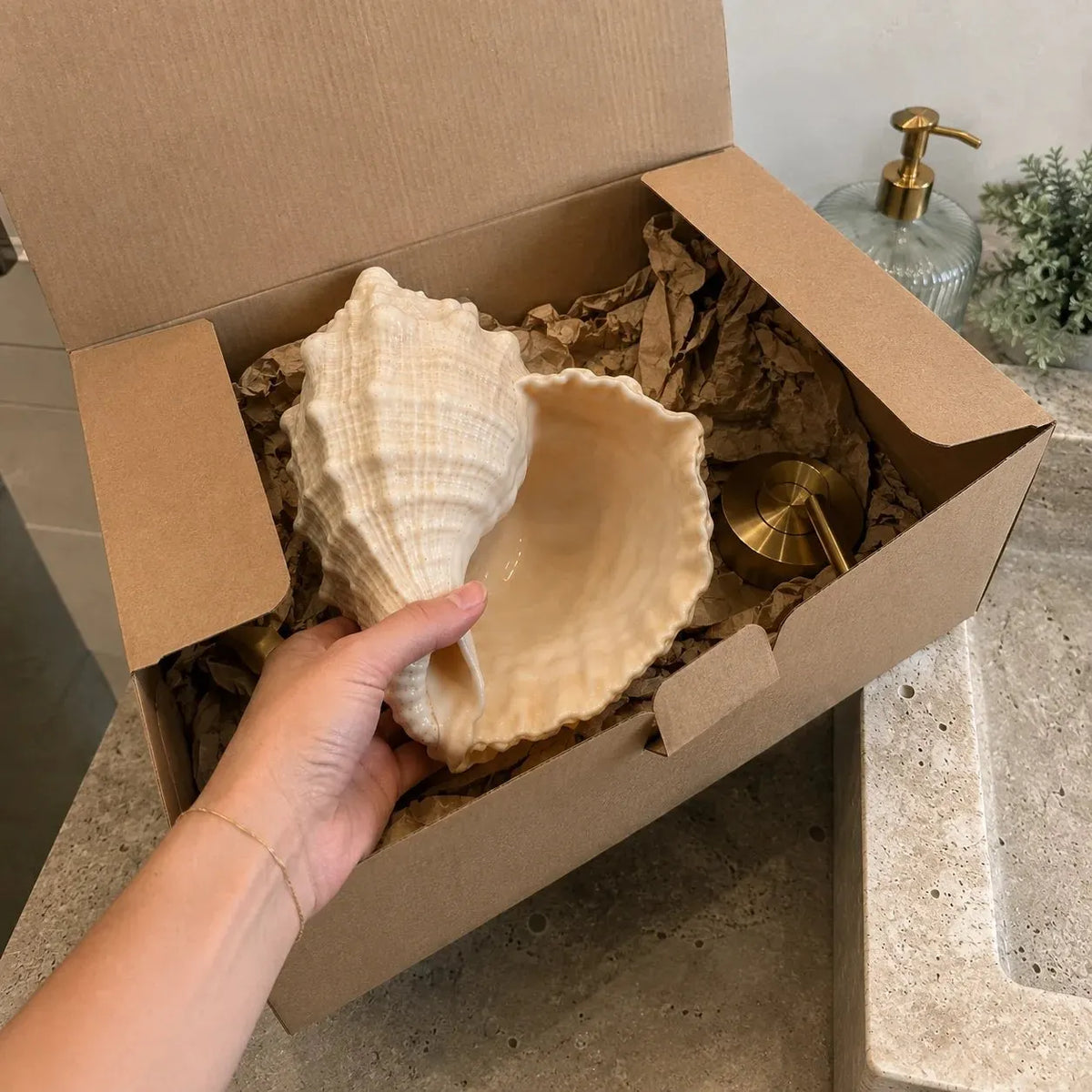 🐚Coastal Seashell Wall-Mount Faucet
