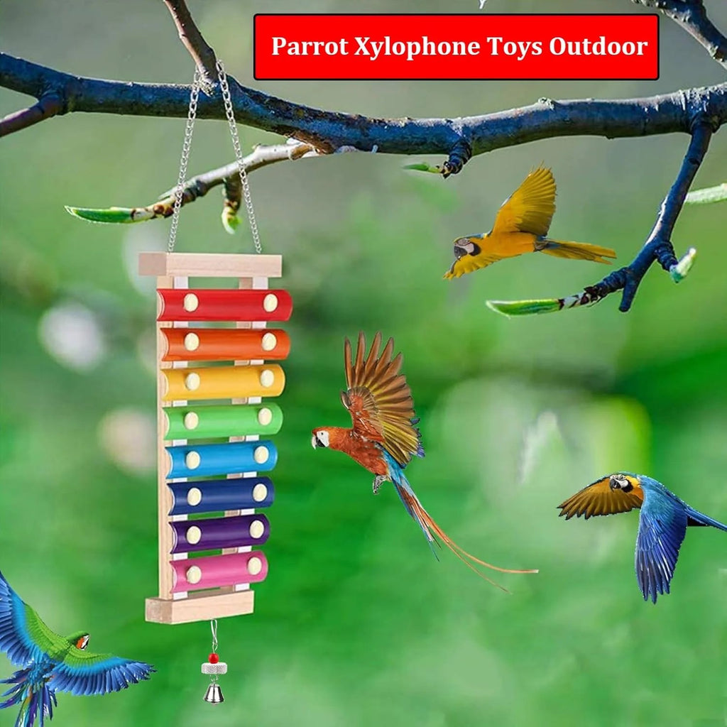 Natural Wood Xylophone & Chew Toy for Parrots
