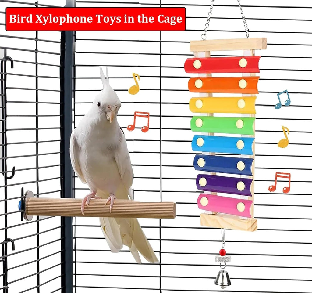 Natural Wood Xylophone & Chew Toy for Parrots