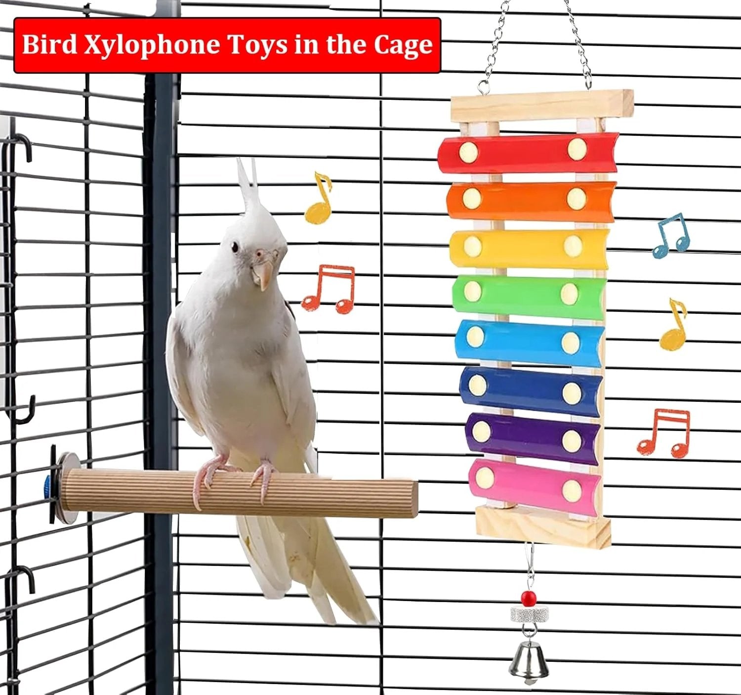 Natural Wood Xylophone & Chew Toy for Parrots