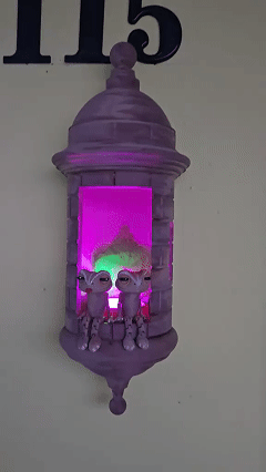 🔥Puerto Rico Garita Night Light – Coquí-Inspired Wall Lamp