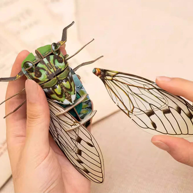 3D Paper Insect Puzzle for Kids – lionclay