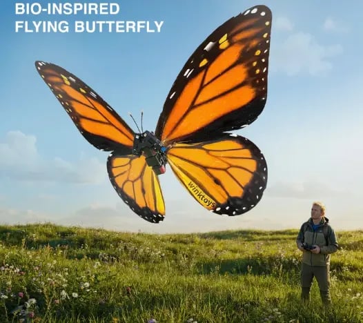 Remote Control Bio-Inspired Flying Butterfly | Realistic Flapping Wings 🎮