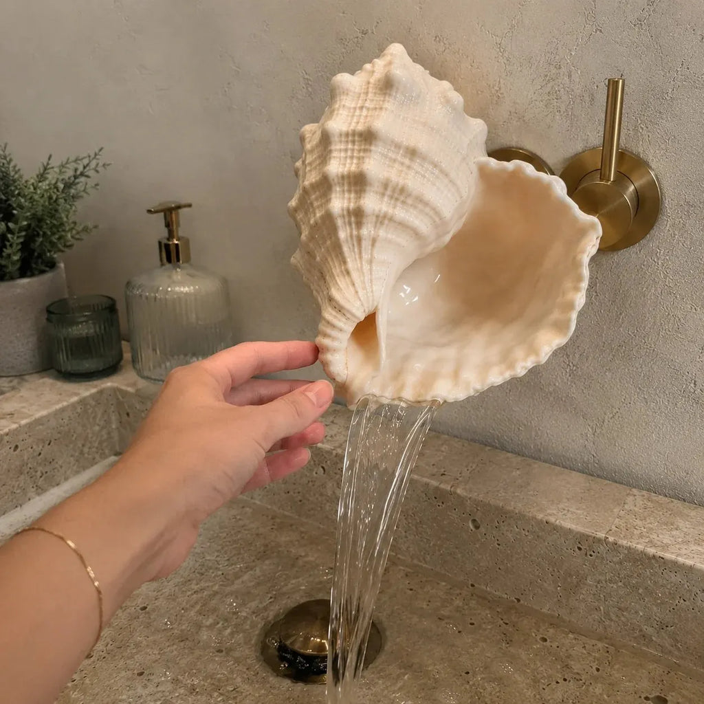 🐚Coastal Seashell Wall-Mount Faucet
