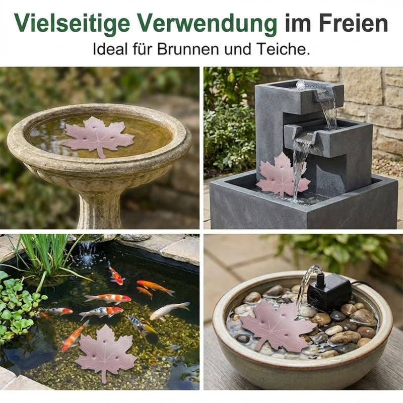 ✨🍁Universal Bird Bath Cleaner