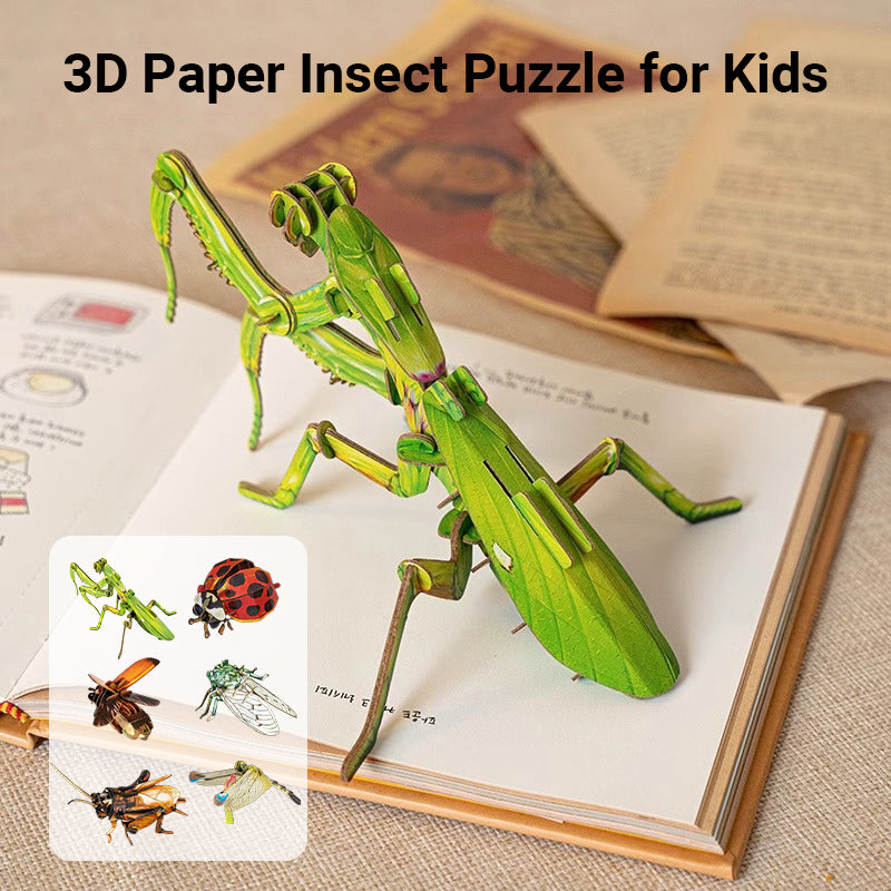 3D Paper Insect Puzzle for Kids – lionclay