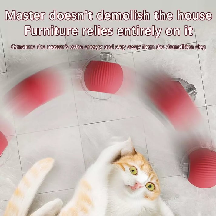 Pet Interactive Rolling Ball🐾