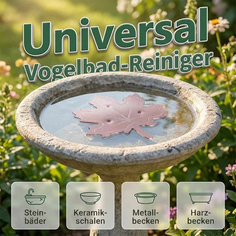 ✨🍁Universal Bird Bath Cleaner