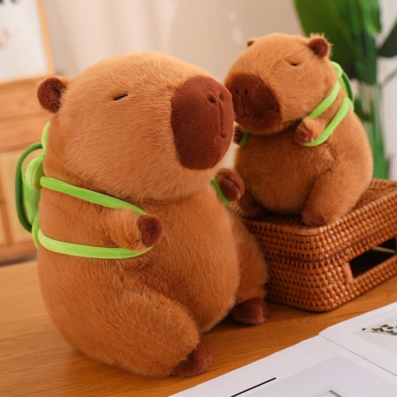 🎁With Turtle Bag Plushies Squishy Pillow Toy