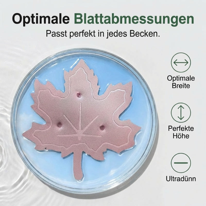 ✨🍁Universal Bird Bath Cleaner