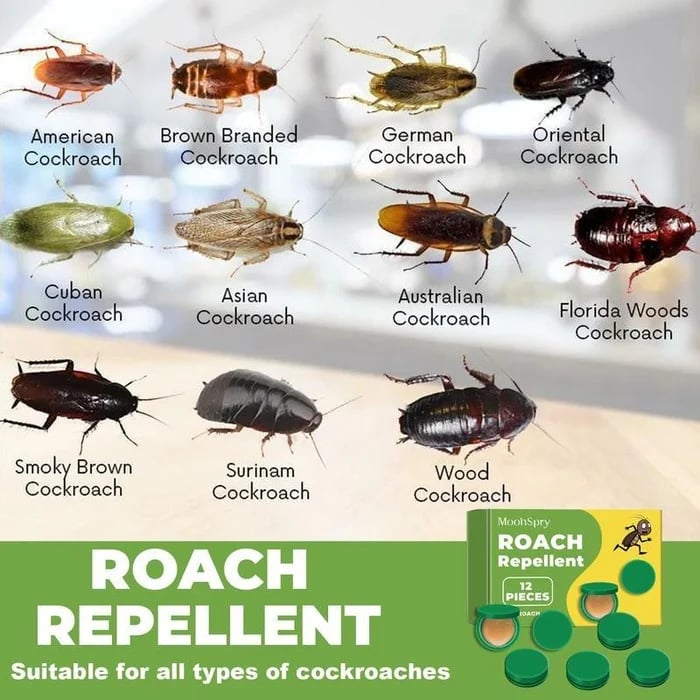 🌿 EcoGuard Roach Elimination Gel