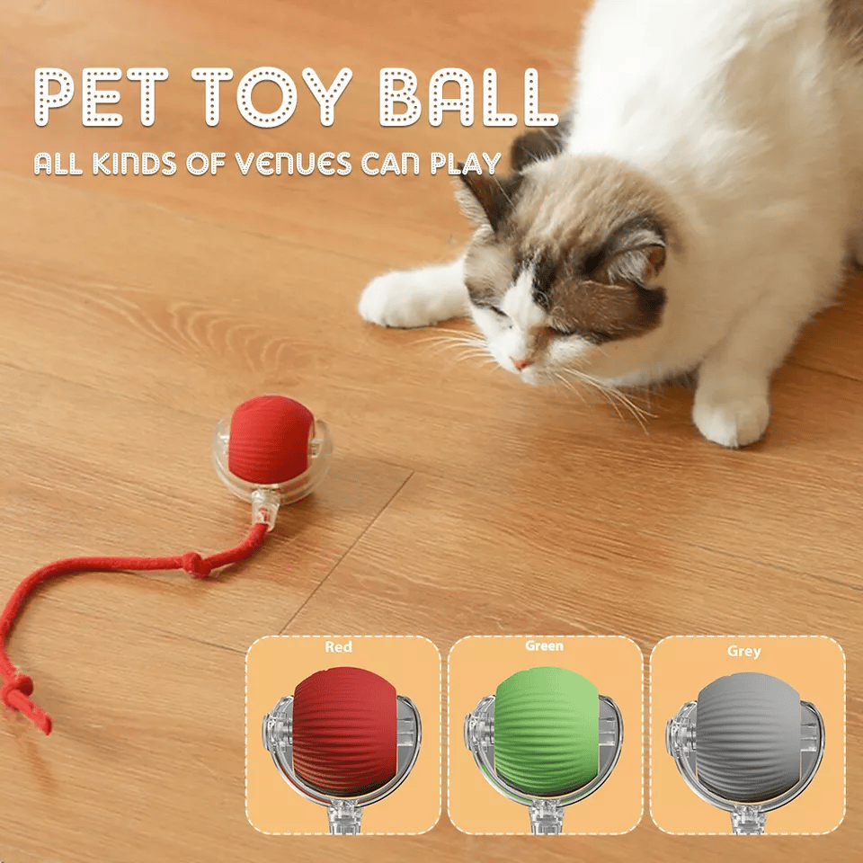 Pet Interactive Rolling Ball🐾