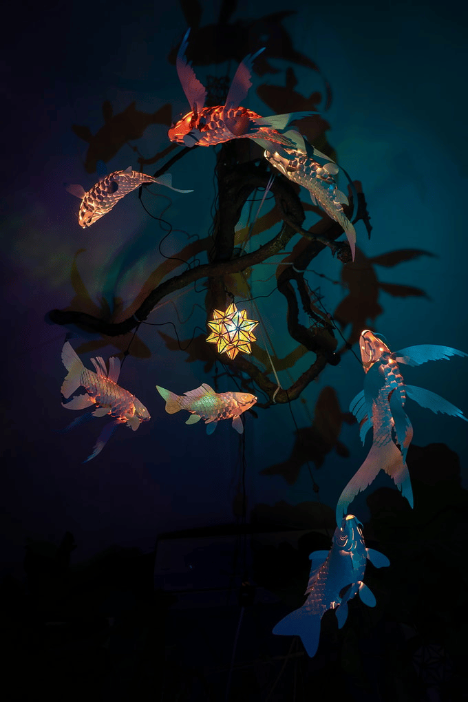 😍Flying Fish Lantern