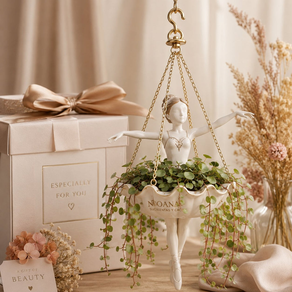Turn Small Spaces Into Hanging Garden Art