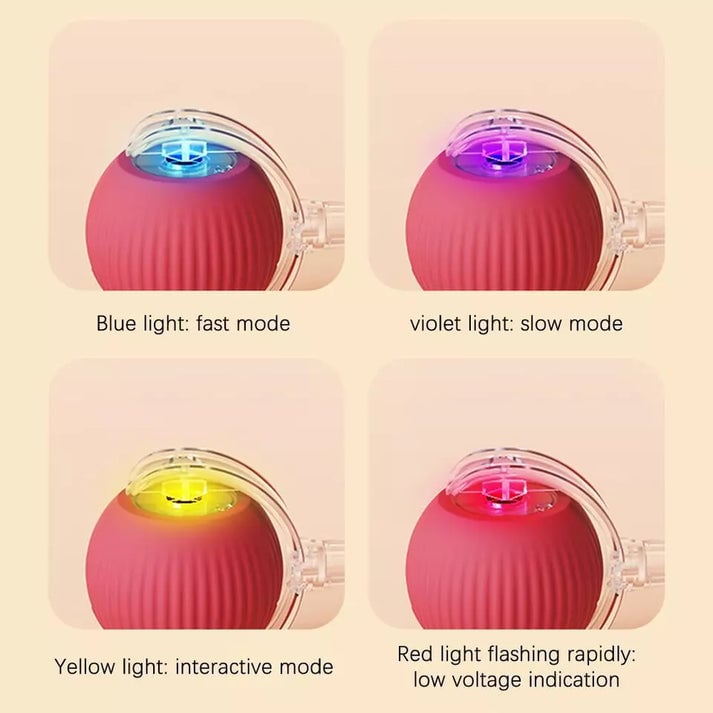 Pet Interactive Rolling Ball🐾