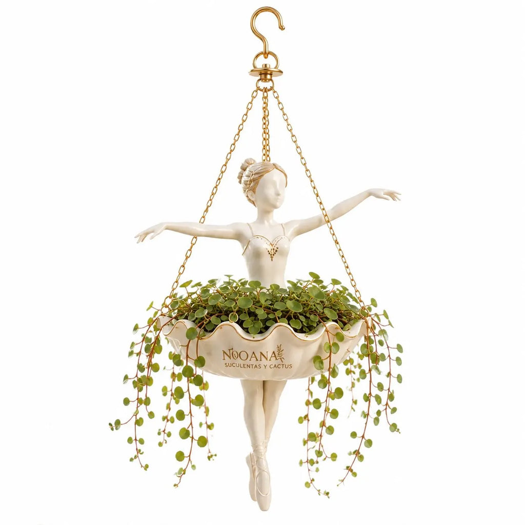 Turn Small Spaces Into Hanging Garden Art
