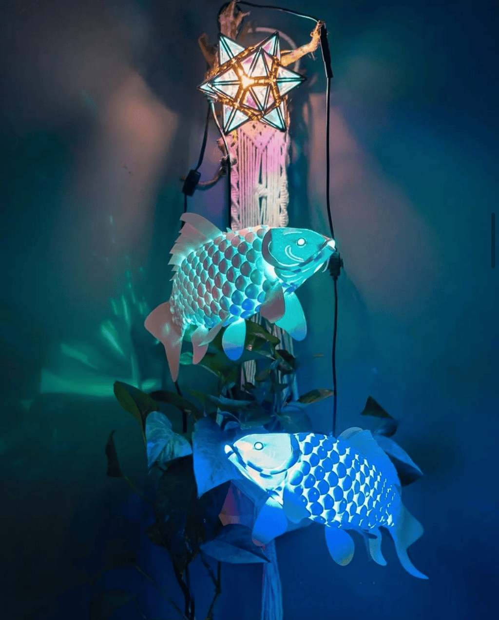 😍Flying Fish Lantern