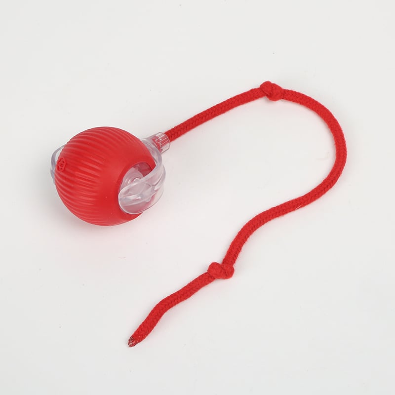 Pet Interactive Rolling Ball🐾