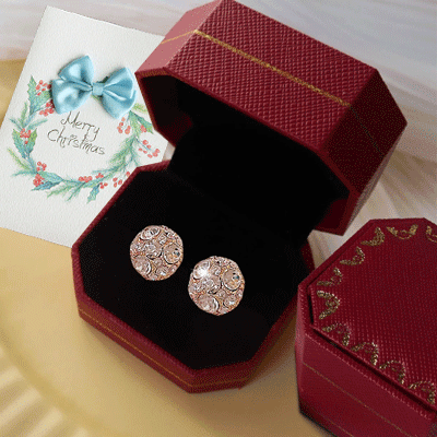 Magnetic Ear Studs