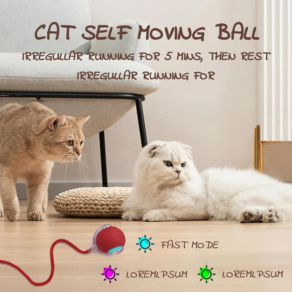 Pet Interactive Rolling Ball🐾