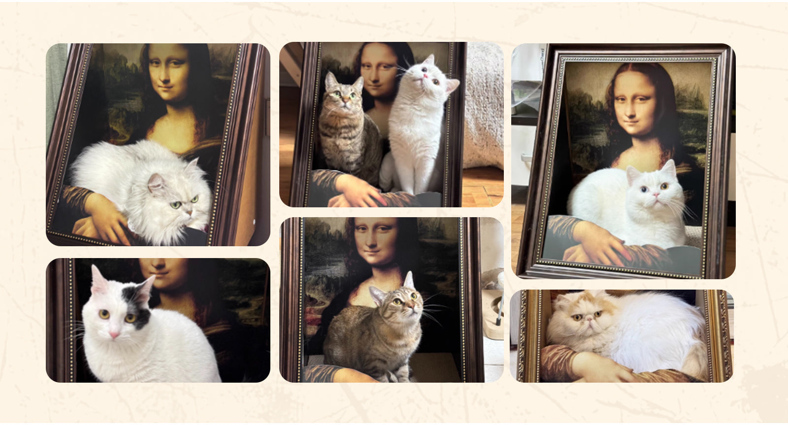 🔥Hot Sale🔥Brand New 4D Stereo Cat Scratching Bed – Unique Mona Lisa Design for Cats