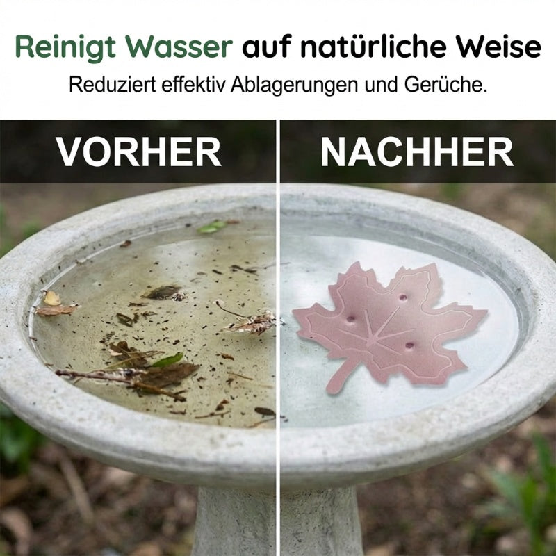 ✨🍁Universal Bird Bath Cleaner