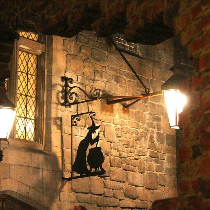 🔥Leaky Cauldron Metal Sign