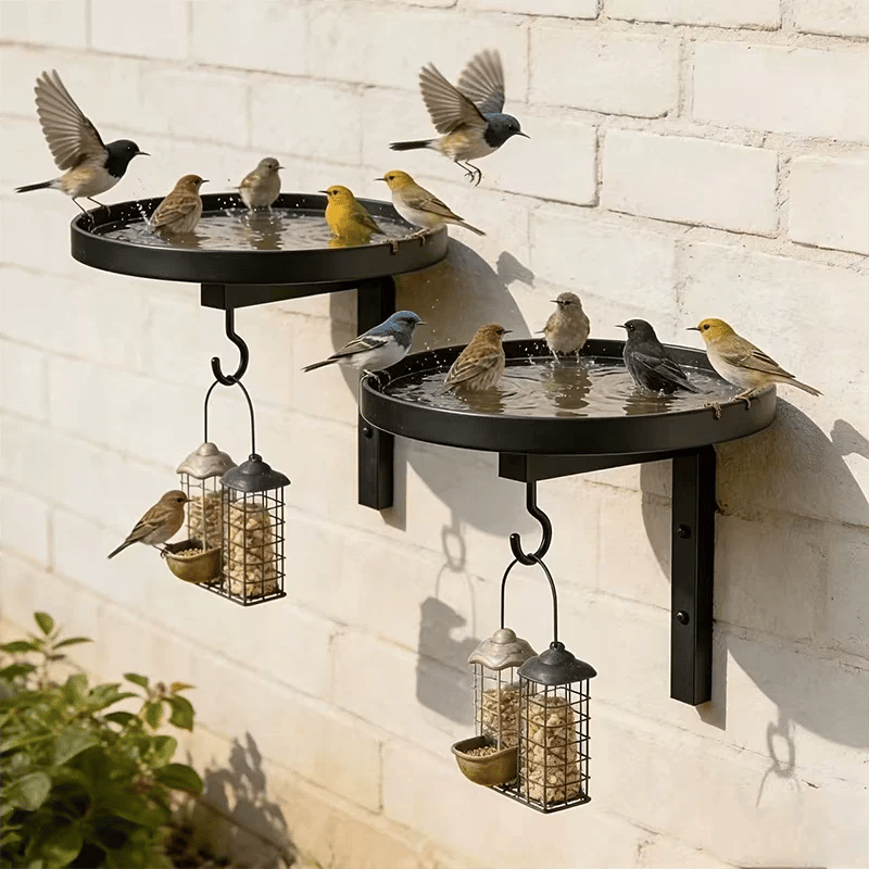 Wall-Mounted Metal Bird Bath – Antique Bronze Finish 🐦