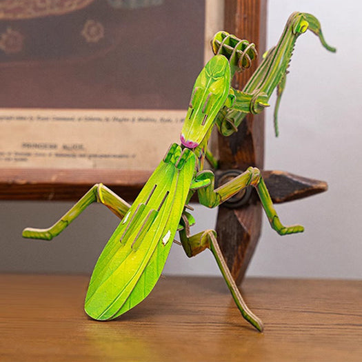 3D Paper Insect Puzzle for Kids – lionclay
