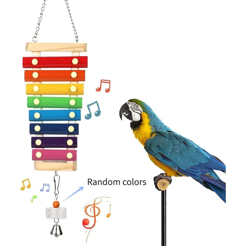 Natural Wood Xylophone & Chew Toy for Parrots