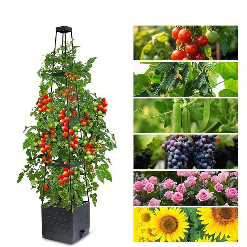 🍅Self-watering tomato planting kit with climbing plant support