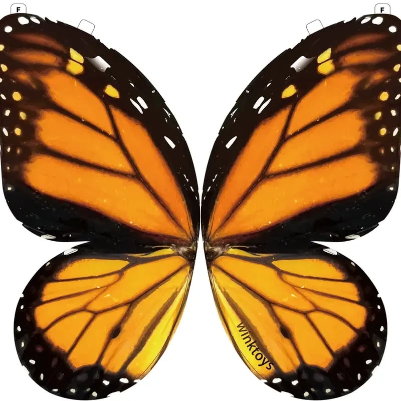 Remote Control Bio-Inspired Flying Butterfly | Realistic Flapping Wings 🎮