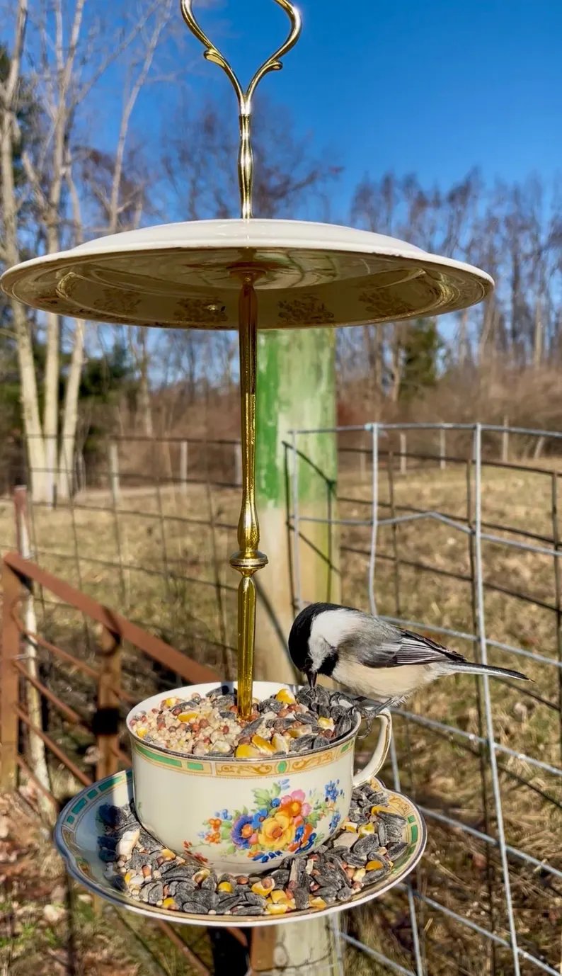 Bird Tea Party: Teacup Birdfeeder