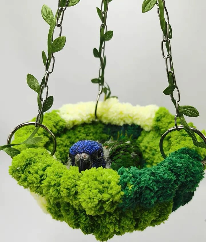 Cozy Jungle Hammock Nest for Birds
