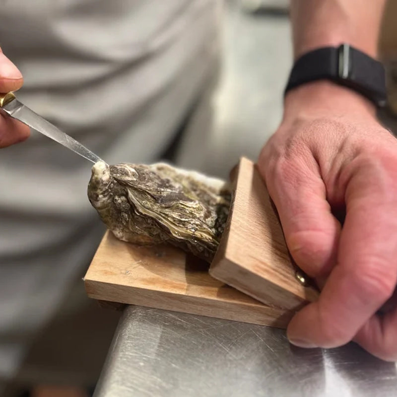 Oyster Shucking Clamp