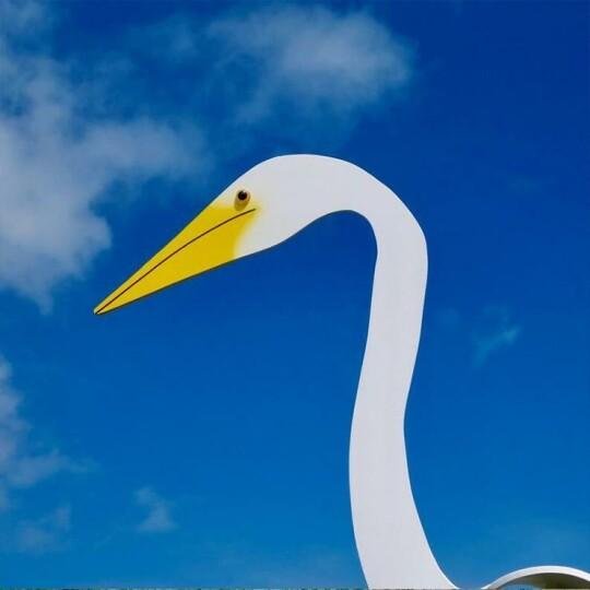 A whimsical and dynamic bird that spins with the slight garden breeze