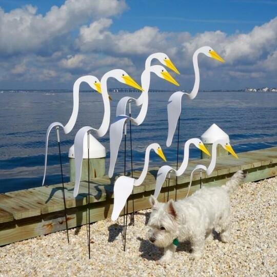 A whimsical and dynamic bird that spins with the slight garden breeze