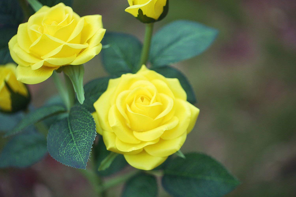 Solar Flower Stake Lights