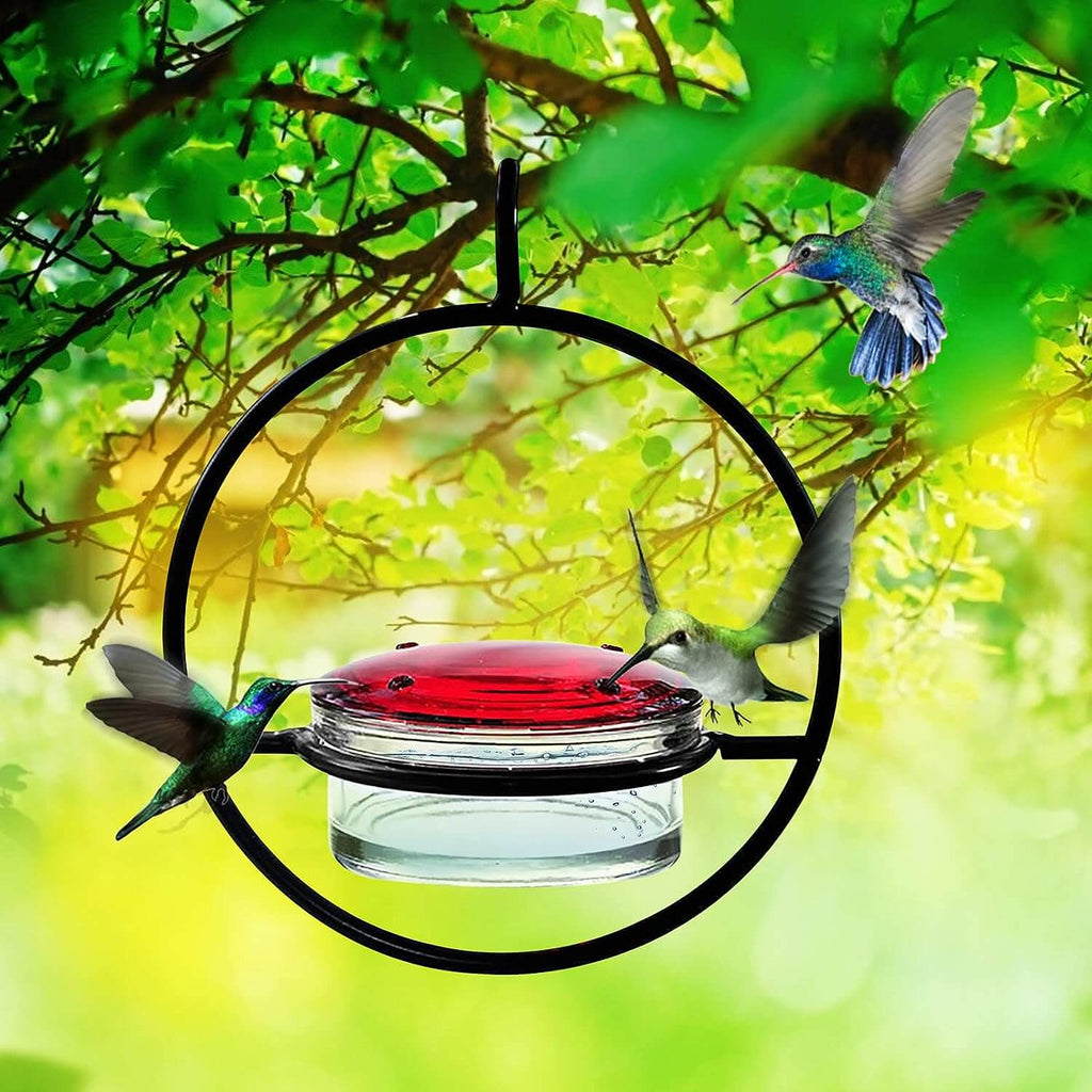 Metal Hummingbird Water Feeder