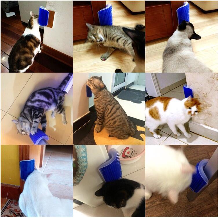 Self Grooming and Massaging Cat Toy